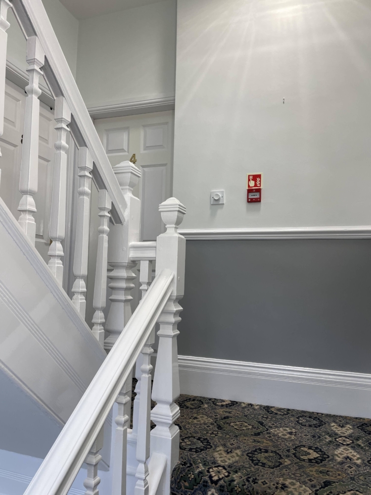Professional Interior Painting You Can Trust