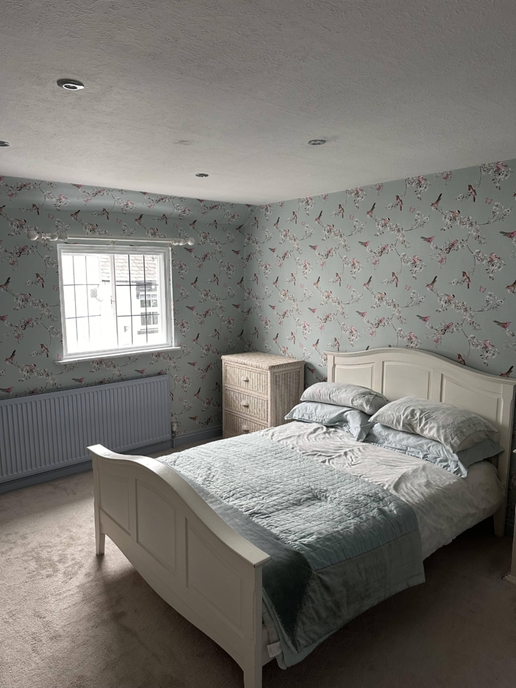 Why Homeowners Trust Us